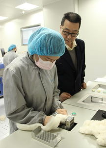 聯盟快訊 | 邯鄲纖檢所服務地方產業發展，助力企業質量提升